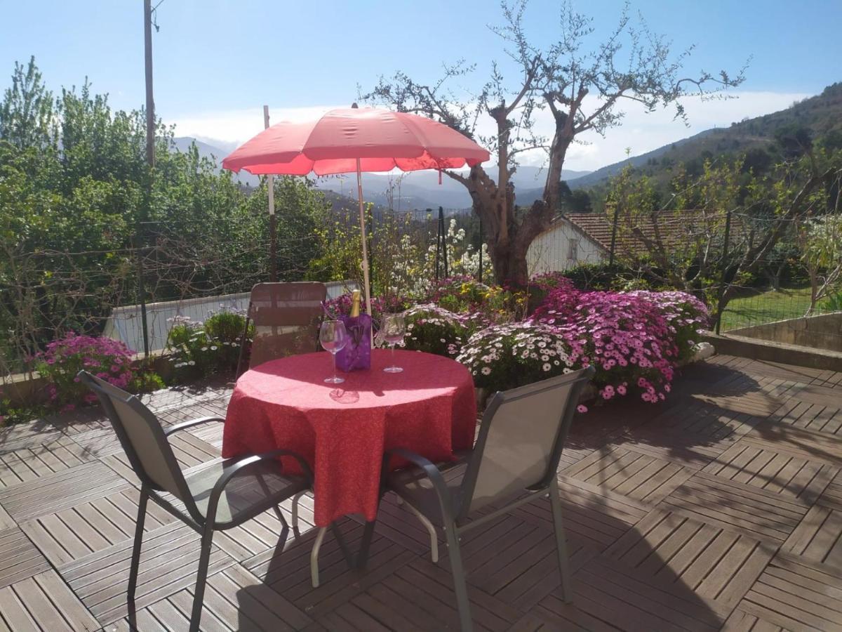 Studio Le Romantique A 20 Kms De Nice Bendejun Ngoại thất bức ảnh
