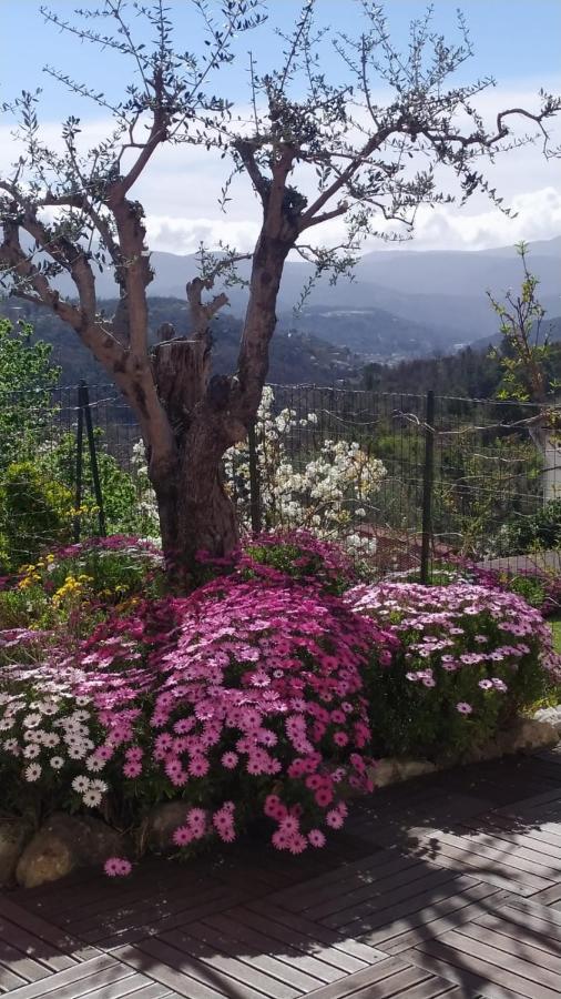 Studio Le Romantique A 20 Kms De Nice Bendejun Ngoại thất bức ảnh